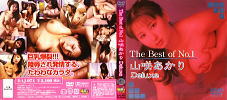 The Best of No.1 山咲あかり Deluxe